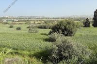 1264 SQM Land · Aradippou (Larnaca) for sale 