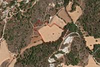 22910 SQM Land in Lysos (Paphos) for sale 