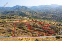 16827 SQM Land in Agia Marina Xyliatou (Nicosia) for sale 
