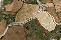 4014 SQM Plot in Kathikas (Paphos) for sale 