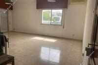 3 Bedroom Penthouse in Pallouriotissa (Nicosia) to rent 