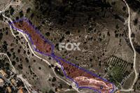 8362 SQM Land · Nata (Paphos) for sale 