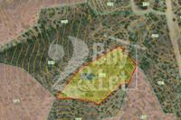 7358 SQM Land · Lageia (Larnaca) for sale 