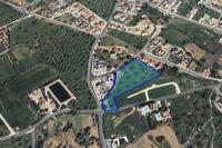 7693 SQM Plot · Tala (Paphos) for sale 