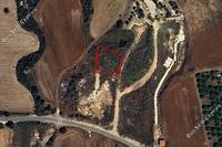 752 SQM Plot in Latsi (Paphos) for sale 