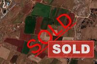 10633 SQM Land in Frenaros (Famagusta) for sale 