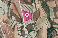 8300 SQM Land in Giolou (Paphos) for sale 