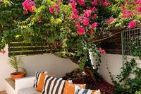 2 Bedroom Ground floor apartment in Agioi Omologitai (Nicosia) to rent 