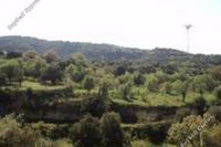 25419 SQM Land in Lemona (Paphos) for sale 
