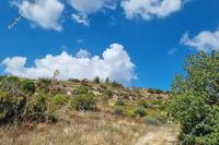 6355 SQM Land · Koilani (Limassol) for sale 