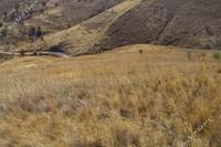 12376 SQM Land in Galataria (Paphos) for sale 