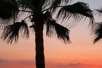 1620 SQM Land · Anavargos (Paphos) for sale 
