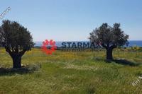 12260 SQM Land in Agios Theodoros Larnacas (Larnaca) for sale 