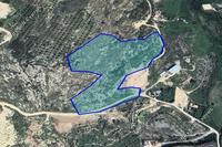 37459 SQM Land · Konia (Paphos) for sale 