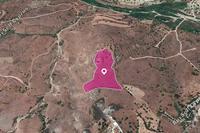 12710 SQM Land in Episkopi Pafou (Paphos) for sale 