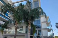 4 Bedroom Apartment in Makedonitissa (Nicosia) to rent 