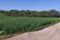 2561 SQM Land in Paralimni (Famagusta) for sale 