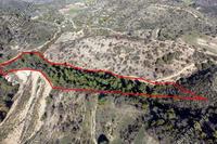 19399 SQM Land in Mousere (Paphos) for sale 