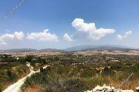 3679 SQM Land in Pachna (Limassol) for sale 