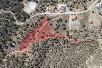 11706 SQM Plot in Evrychou (Nicosia) for sale 