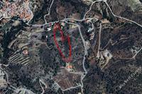 6900 SQM Land in Louvaras (Limassol) for sale 