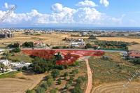 4547 SQM Land · Paralimni (Famagusta) for sale 