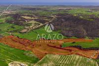 55854 SQM Land in Kofinou (Larnaca) for sale 
