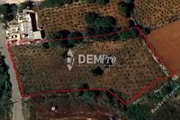 2180 SQM Land in Ineia (Paphos) for sale 