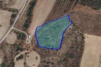 33693 SQM Land in Parekklisia (Limassol) for sale 