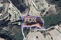 7024 SQM Land in Lemona (Paphos) for sale 