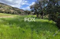 8696 SQM Land in Asgata (Limassol) for sale 