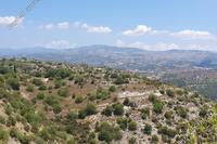 7358 SQM Land in Letymvou (Paphos) for sale 