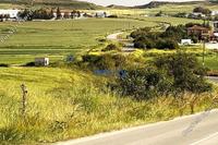 16900 SQM Land in Geri (Nicosia) for sale 