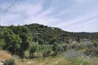 5352 SQM Land in Pachna (Limassol) for sale 