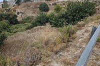 967 SQM Land · Akoursos (Paphos) for sale 