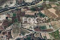 3828 SQM Land in Laneia (Limassol) for sale 