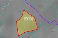 1580 SQM Land in Mesogi (Paphos) for sale 