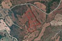 11714 SQM Land in Kritou Tera (Paphos) for sale 