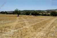 27394 SQM Land · Alethriko (Larnaca) for sale 