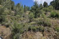 5677 SQM Land in Platanistasa (Nicosia) for sale 