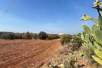 7358 SQM Land · Astromeritis (Nicosia) for sale 