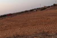 3164 SQM Plot · Ormideia (Larnaca) for sale 