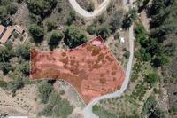 3455 SQM Land in Kakopetria (Nicosia) for sale 