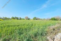 5017 SQM Land · Drousia (Paphos) for sale 