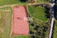 2007 SQM Land in Polemi (Paphos) for sale 