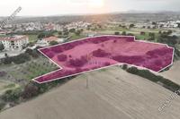 13044 SQM Land in Mazotos (Larnaca) for sale 