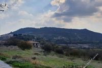 5017 SQM Land · Dora (Limassol) for sale 