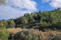 2713 SQM Land in Lythrodontas (Nicosia) for sale 