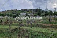 6355 SQM Land in Kampos (Nicosia) for sale 