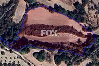 10703 SQM Land in Simou (Paphos) for sale 